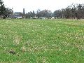 Spaziergang am und im Ostragehege