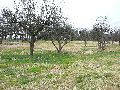 Spaziergang am und im Ostragehege