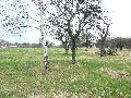 Spaziergang am und im Ostragehege