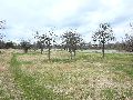 Spaziergang am und im Ostragehege