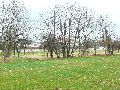 Spaziergang am und im Ostragehege