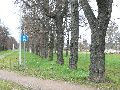 Spaziergang am und im Ostragehege