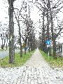 Spaziergang am und im Ostragehege