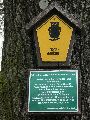 Spaziergang am und im Ostragehege