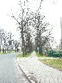 Spaziergang am und im Ostragehege
