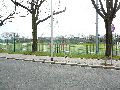 Spaziergang am und im Ostragehege