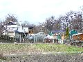 Spaziergang am und im Ostragehege