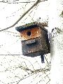 Spaziergang am und im Ostragehege