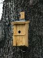 Spaziergang am und im Ostragehege