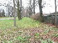 Spaziergang am und im Ostragehege