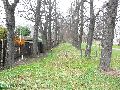 Spaziergang am und im Ostragehege