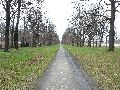 Spaziergang am und im Ostragehege