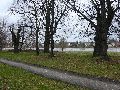 Spaziergang am und im Ostragehege