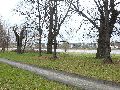 Spaziergang am und im Ostragehege