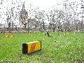 Spaziergang am und im Ostragehege