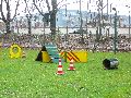 Spaziergang am und im Ostragehege