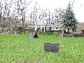 Spaziergang am und im Ostragehege