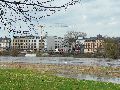 Spaziergang am und im Ostragehege