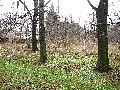 Spaziergang am und im Ostragehege