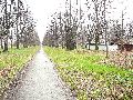 Spaziergang am und im Ostragehege