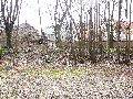 Spaziergang am und im Ostragehege