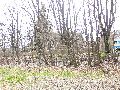 Spaziergang am und im Ostragehege