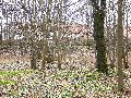 Spaziergang am und im Ostragehege
