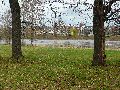 Spaziergang am und im Ostragehege