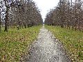 Spaziergang am und im Ostragehege