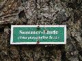 Spaziergang am und im Ostragehege