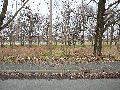 Spaziergang am und im Ostragehege