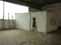 Spaziergang am und im Ostragehege