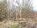 Spaziergang am und im Ostragehege