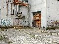 Spaziergang am und im Ostragehege