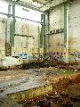 Spaziergang am und im Ostragehege