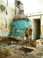 Spaziergang am und im Ostragehege