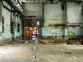 Spaziergang am und im Ostragehege