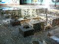 Spaziergang am und im Ostragehege