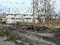 Spaziergang am und im Ostragehege