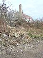 Spaziergang am und im Ostragehege