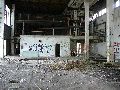 Spaziergang am und im Ostragehege