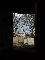 Spaziergang am und im Ostragehege