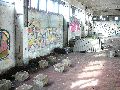 Spaziergang am und im Ostragehege