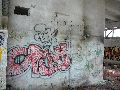 Spaziergang am und im Ostragehege