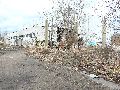 Spaziergang am und im Ostragehege
