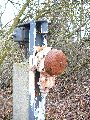 Spaziergang am und im Ostragehege