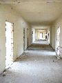 Spaziergang am und im Ostragehege