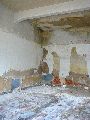Spaziergang am und im Ostragehege