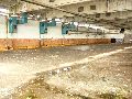 Spaziergang am und im Ostragehege
