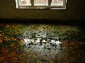 Spaziergang am und im Ostragehege
